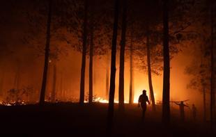 Entire towns wiped out in Chile wildfires