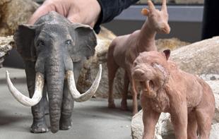 Ancient megafauna fossils recreated with 3D technology