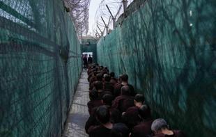 US completes transfer of ISIL detainees from Syria to Iraq: CENTCOM