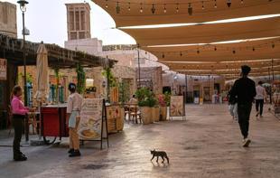 Dubai is safe: UAE pushes to contain fallout from Iran onslaught