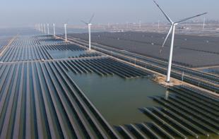 Renewables’ share in installed capacity tops 62 percent