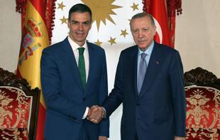 Erdoğan, Spains Sanchez discuss ties, regional issues