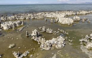 Van Lake microbialites advance in Guinness World Records bid