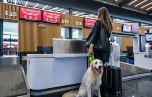 Türkiye targets booming pet-friendly tourism market to boost int’l growth