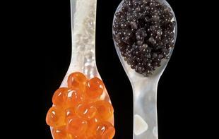 Türkiye targets global market with ‘Turkish caviar’