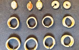 Egypt unveils a striking trove of ancient artifacts