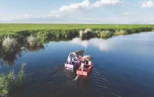 Swelling waterways treat sightseers to scenic boat tours