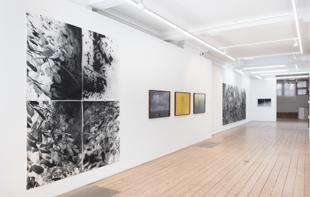 Vision Art Platform presents ‘Botanicals’ in London