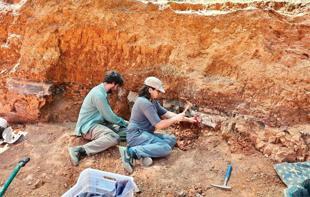 Millions of years old fossils shed light on prehistoric life