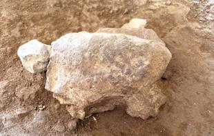 Recently dug turtle figurines expose ancient ritual heritage