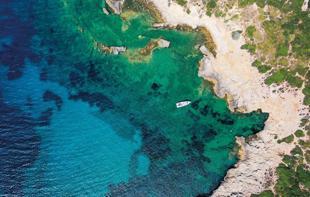 Eco-project in İzmİr turns mussel waste into marine habitat