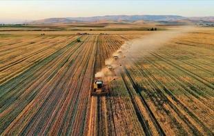 Türkiye targets greater food supply security under new Program
