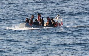 Police detain 115 irregular migrants in northwest sweep