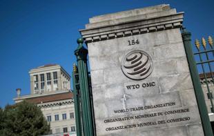 Global goods trade strengthens despite uncertainty: WTO