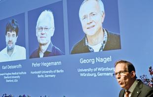 US-German trio wins medicine Nobel for work on optogenetics