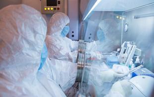 WHO says ‘low’ risk in Russia following plague reports