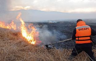 Fires fueled by El Nino leave 12 dead in Peru
