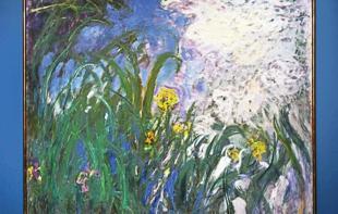 Monet’s ‘Iris’ fetches 50 mln euros at Paris auction