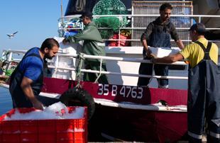 Aegean fishermen struggle to find crew members