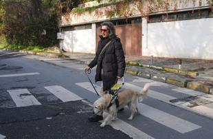 Guide dogs strengthen mobility, safety for Türkiye’s visually impaired