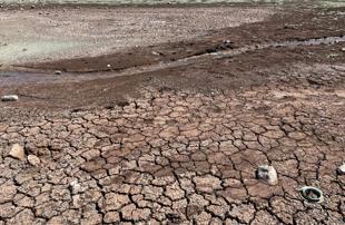 Türkiye loses 1 centimeter of soil every 16 years, expert warns