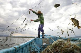 Türkiye expands fishing operations into Somali waters