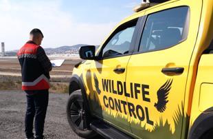 Istanbul airports deploy ornithologists to manage bird activity, boost flight safety