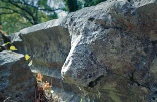 Lion-headed gargoyle destroyed at ancient city