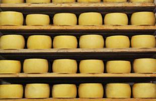 A cheese story stretching from Urfa to America