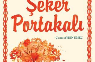 Türkiye’s top court recognizes translator rights in book title dispute