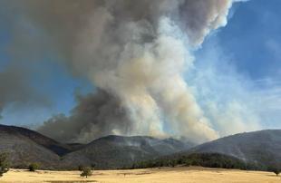 Scores of homes razed, one dead in Australian bushfires