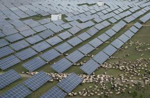 Solar, wind capacity growth slowed last year: Analysis