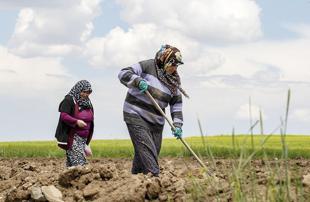 Türkiye’s registered farmers rise by 190,000