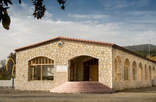 World’s first olive oil library set to launch in Aegean city