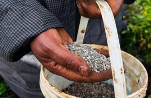 Grain, steel, fertilizer blocked by Hormuz closure: Data