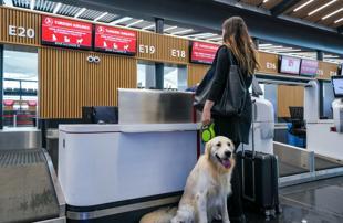 Türkiye targets booming pet-friendly tourism market