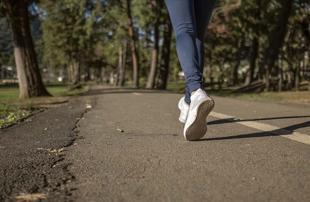 Over 86 pct of population remains physically inactive