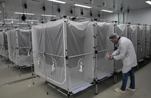 Brazil suspends dengue vaccine following two deaths
