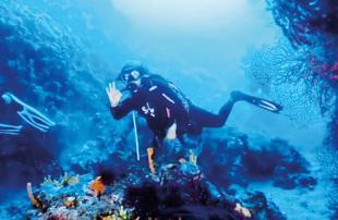 Ayvalık reopens famed Byzantine wreck to divers