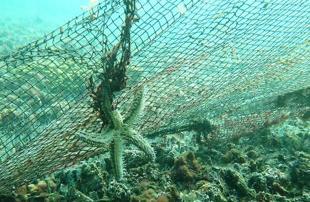 95 football fields’ worth of ghost nets removed from Marmara