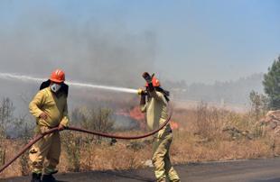 Wildfires hit four provinces, prompt evacuations