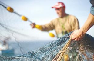 Fishermen expect abundant bonito as season opens in Türkiye
