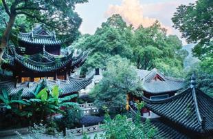 In search of Longjing