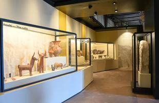Troy exhibition at Colosseum draws over 2 mln visitors