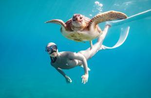 Freediver swims with turtles to fight pollution