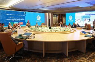 Saudi military aid to follow constitutional rules: Officials