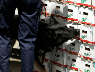 EU ports urged to team up to fight very creative drug smugglers