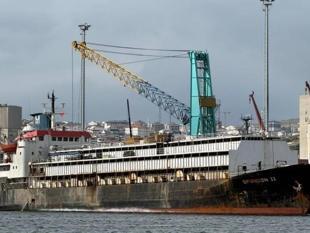 Livestock carrier leaves waters amid Türkiye’s safety concerns