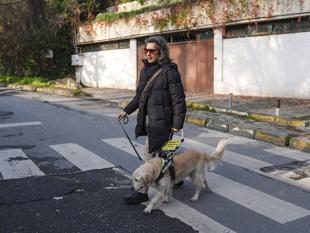 Guide dogs strengthen mobility, safety for Türkiye’s visually impaired