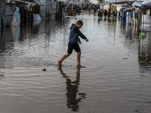 Storm kills 11 Palestinians, causes $4M damage in Gaza